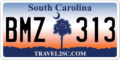 SC license plate BMZ313