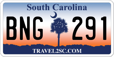 SC license plate BNG291