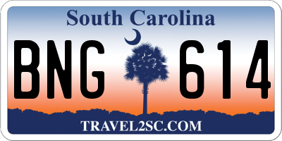 SC license plate BNG614
