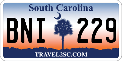 SC license plate BNI229