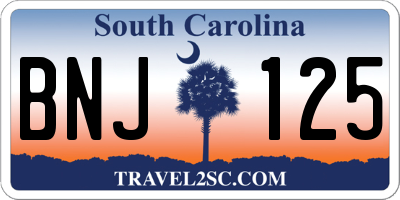 SC license plate BNJ125