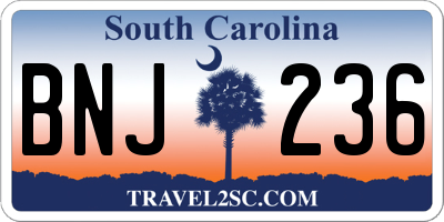 SC license plate BNJ236