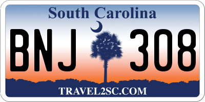 SC license plate BNJ308