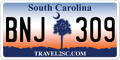SC license plate BNJ309