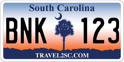 SC license plate BNK123