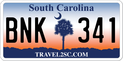 SC license plate BNK341
