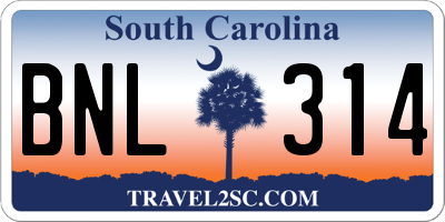 SC license plate BNL314