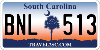 SC license plate BNL513