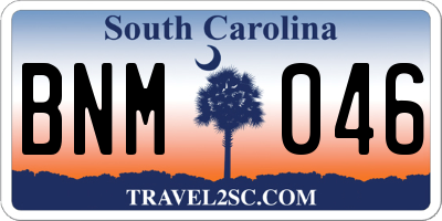SC license plate BNM046