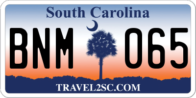 SC license plate BNM065