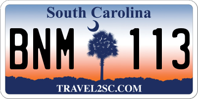 SC license plate BNM113