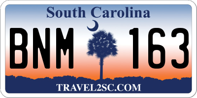 SC license plate BNM163