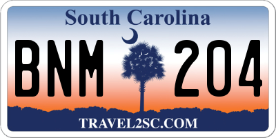 SC license plate BNM204