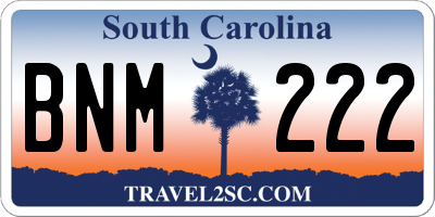 SC license plate BNM222