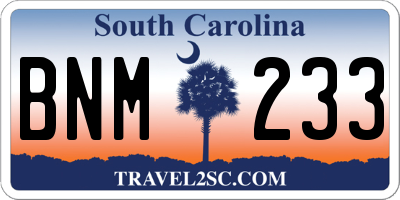 SC license plate BNM233