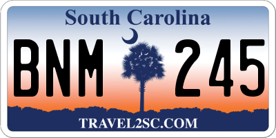 SC license plate BNM245