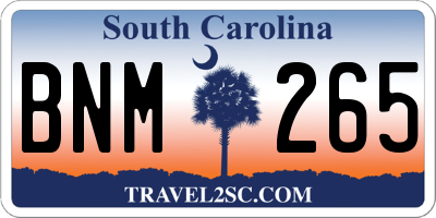 SC license plate BNM265