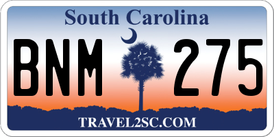 SC license plate BNM275