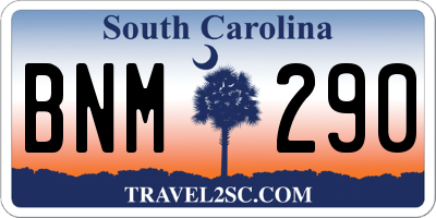 SC license plate BNM290