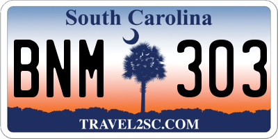 SC license plate BNM303