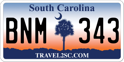 SC license plate BNM343