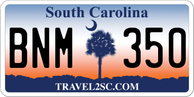 SC license plate BNM350