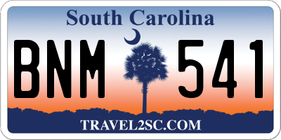 SC license plate BNM541