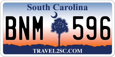 SC license plate BNM596