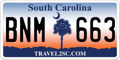SC license plate BNM663