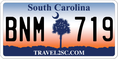 SC license plate BNM719