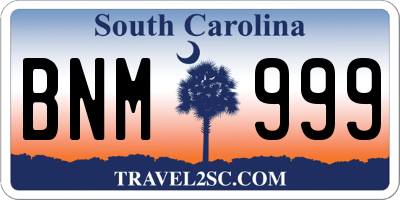 SC license plate BNM999
