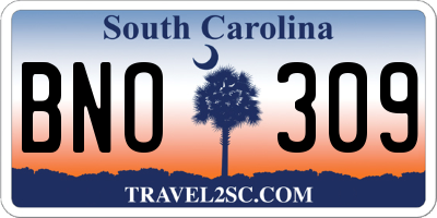 SC license plate BNO309