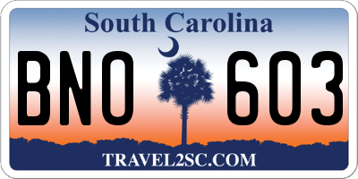 SC license plate BNO603