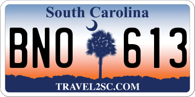 SC license plate BNO613