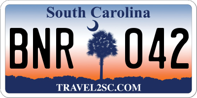 SC license plate BNR042