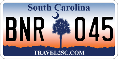 SC license plate BNR045