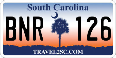 SC license plate BNR126