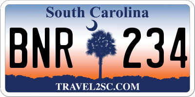 SC license plate BNR234