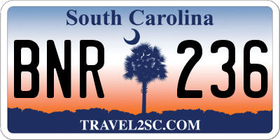 SC license plate BNR236