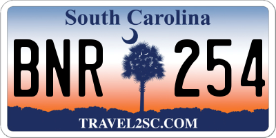 SC license plate BNR254