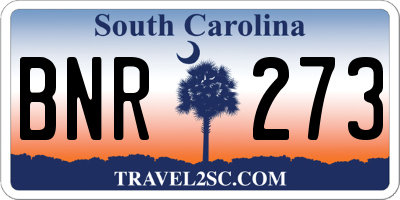 SC license plate BNR273