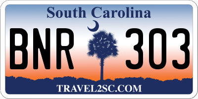 SC license plate BNR303