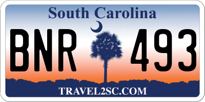 SC license plate BNR493