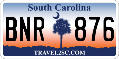 SC license plate BNR876
