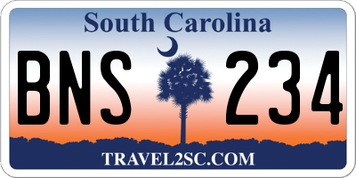 SC license plate BNS234