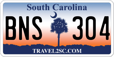 SC license plate BNS304