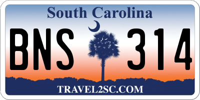 SC license plate BNS314