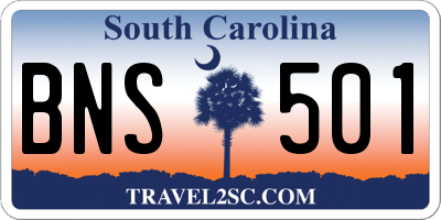 SC license plate BNS501