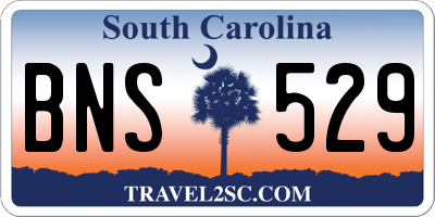 SC license plate BNS529