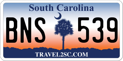 SC license plate BNS539